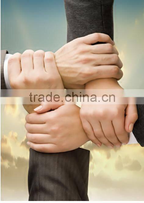 automatic clip type bottle washing machine