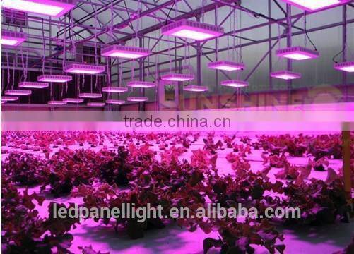 Best Led Grow Lights For Indoor Plants 300w Grow Light Led Cob For Orchid