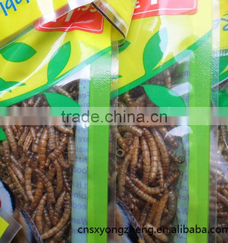 2.5---2.8cm dried Mealworm for Pet (cat ,dog and chicken) food