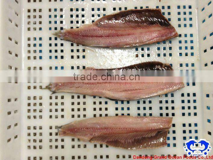 seafood frozen atlantic herring fillet IQF