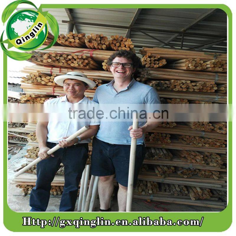 pvc coated wood coconut broom stick importers made in China factory
