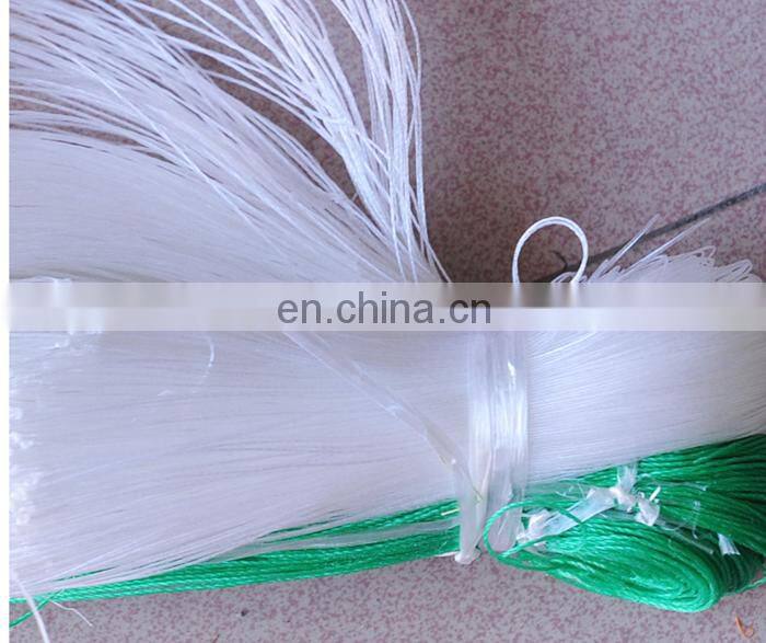 HDPE Trellis net for cucumber bean pea supporting and growing