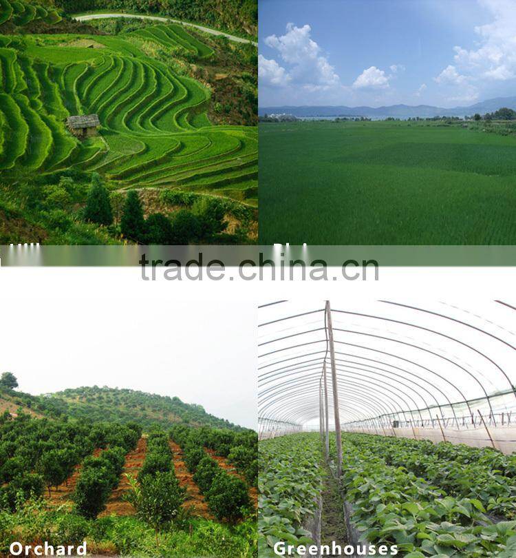 2014 Hot Sale ISO9001 5HP Cheap Price Gasoline Garden Tiller For Agricultural Machinery