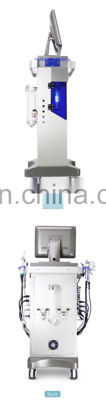 11 in 1 Water Oxygen hydro dermabrasion aqua peel facial removal black head Face lifting microdermabrasion beauty instrument