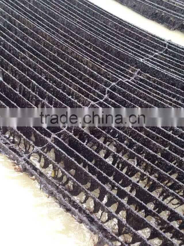 Chinese Seafood Dried Seaweed Laver Nori, Agar-Agar for sale