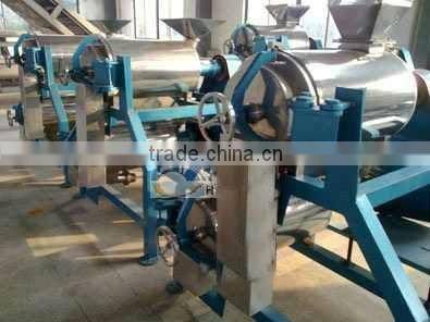 wide output range full stainless steel mango pulp machine