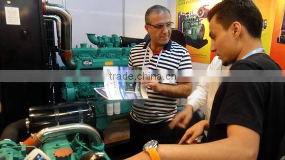 LD Brand New CE Approved Diesel Generator100kw