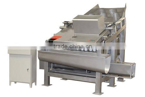 Litchi Pre-treatment Production Line