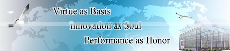 Best selling PC sheet/board agricultural greenhouse for sale