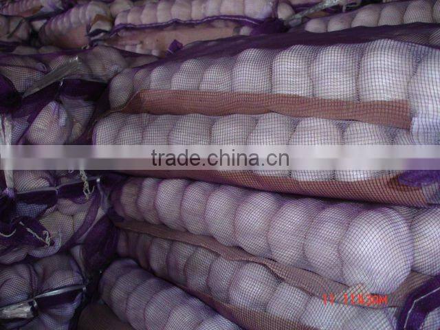 Garlic Type and Liliaceous Vegetabless Product Type natural garlic fresh garlic