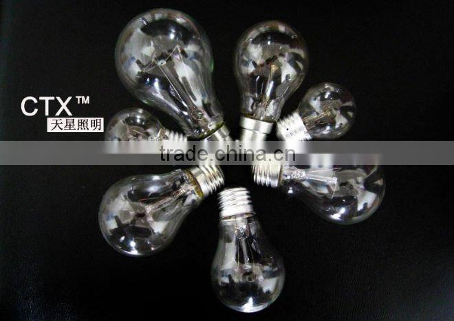 Spiral Compact Fluorescent Bulb