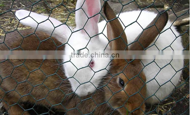galvanized chicken wire mesh cage