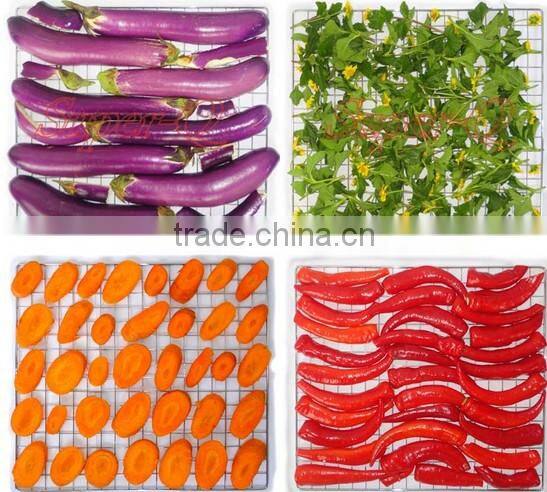 10 layer Home CommercialFood Vegetable Fruit drying machine