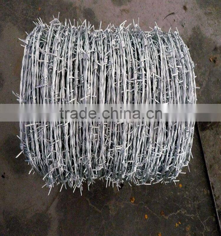 galvanized barbed wire factory / Barbed Wire