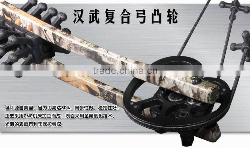Fashion China Compound Bow 35~60lbs 180