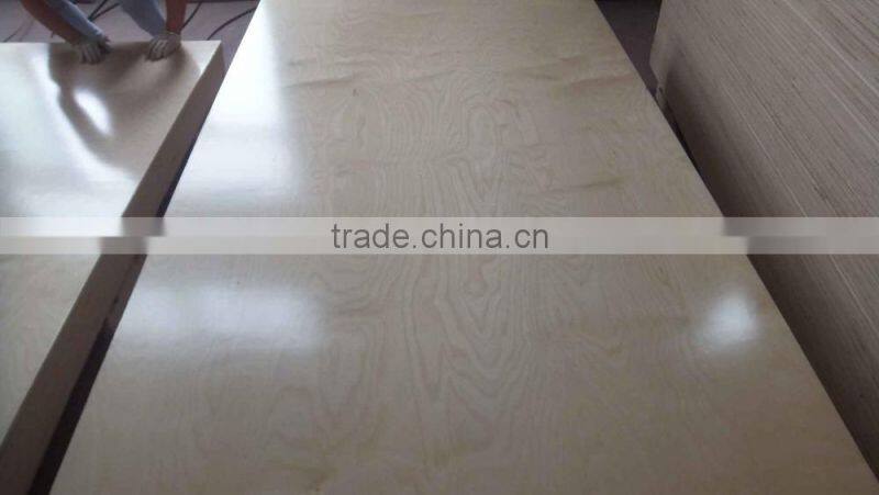 White Birch Plywood