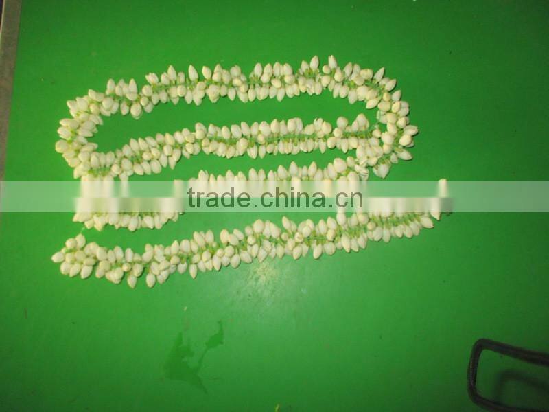 Fresh Jasmine Flower Exporter for / Importers in Malaysia / Singapore / Dubai / Canada / USA/ Uk / France / Germany