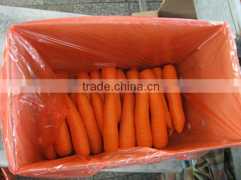 2014 new crop bulk carrot with best price