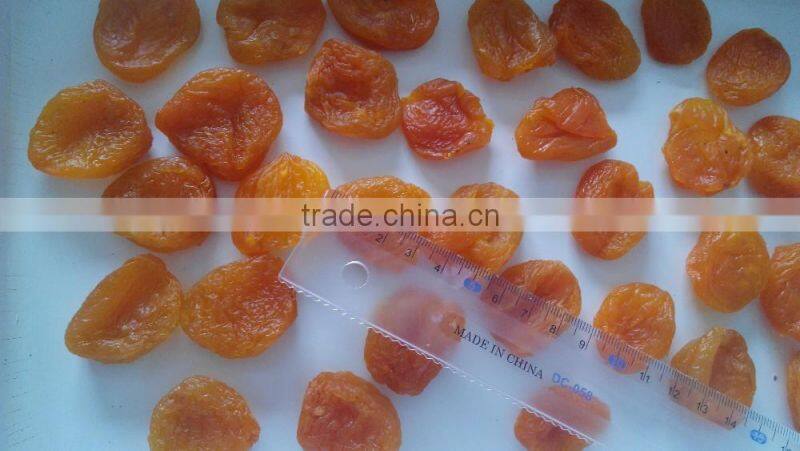 popular high quality dried apricot