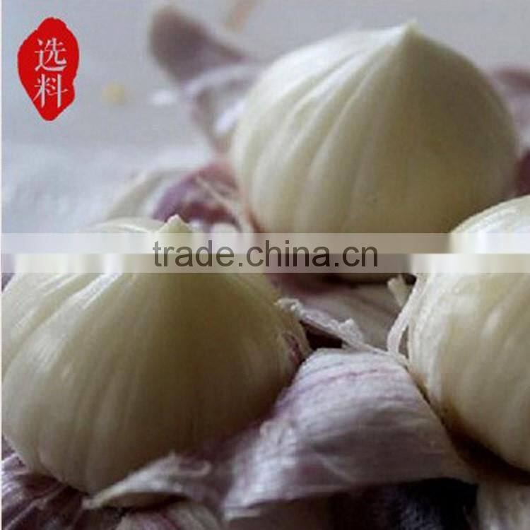 Wholesale fresh white garlic for export