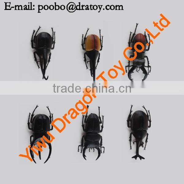 Teenagers insect education toy