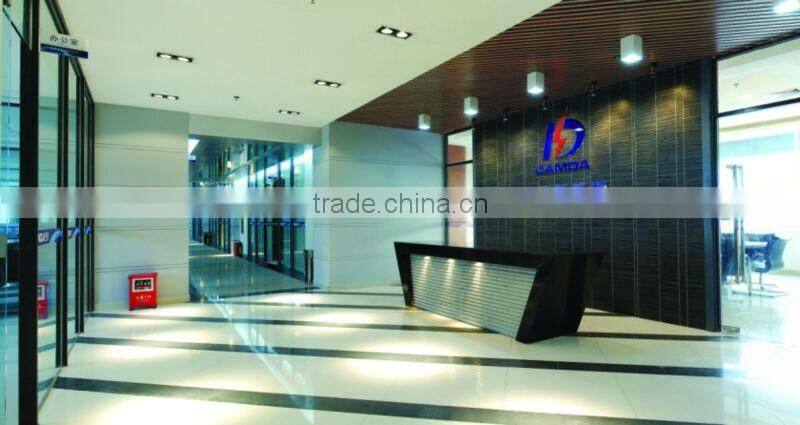 Camda Factory biogas generator sets with/without canopy 250kw biogas generator