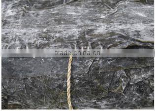 Feed Grade Kelp/Laminaria abalone fodder