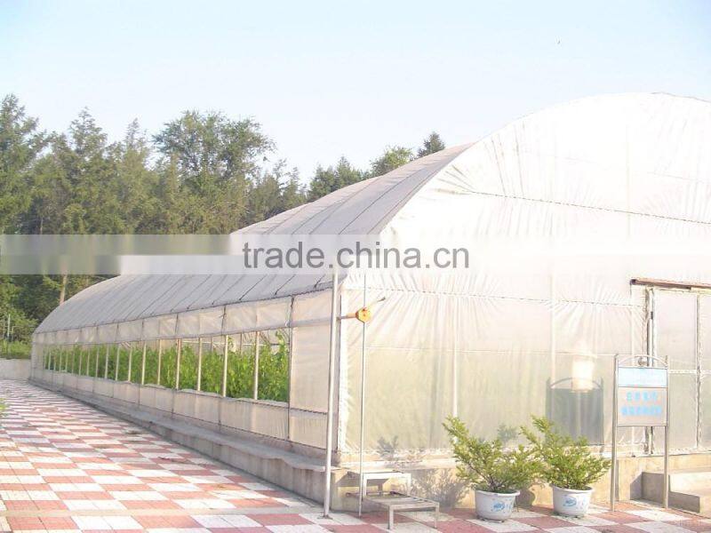 wholesale poly tunnel greenhouse for garden /agricola