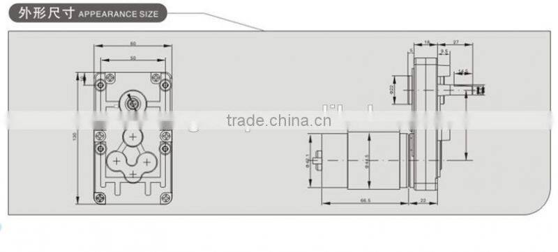 DC worm gear motor with rectangular gearbox