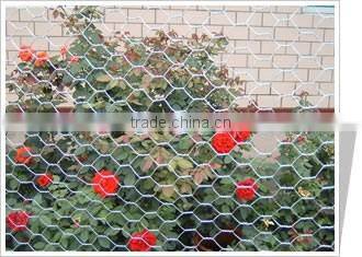 Hot Sale Hexagonal Wire Netting