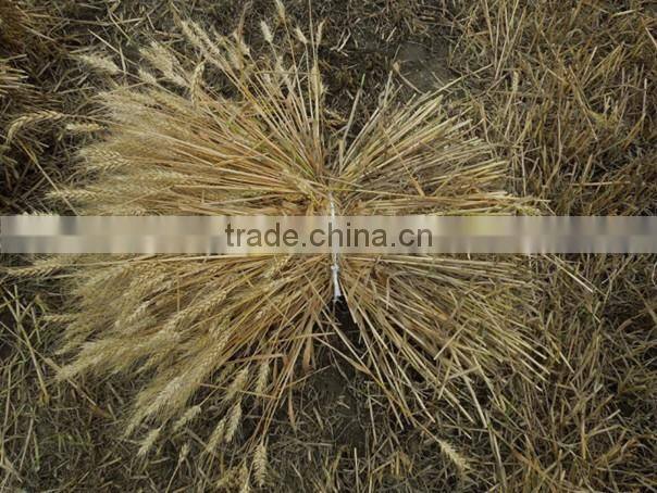 Factory offer Reaper binder tractor operated