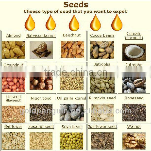 30TPD Sunflower To Cooking Oil Machine