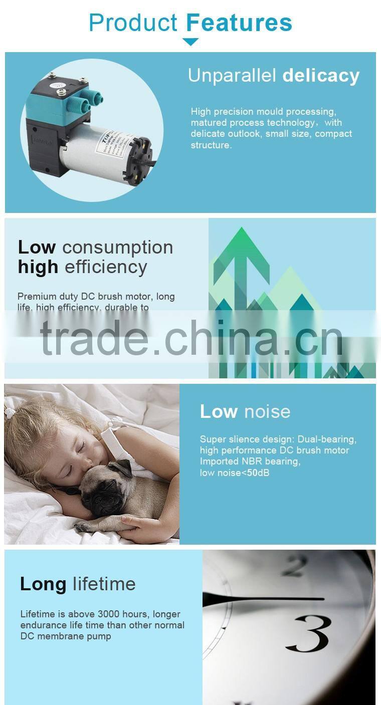 High Performance Liquid DC Diaphragm Chemical Free Water Treatment Systems pump