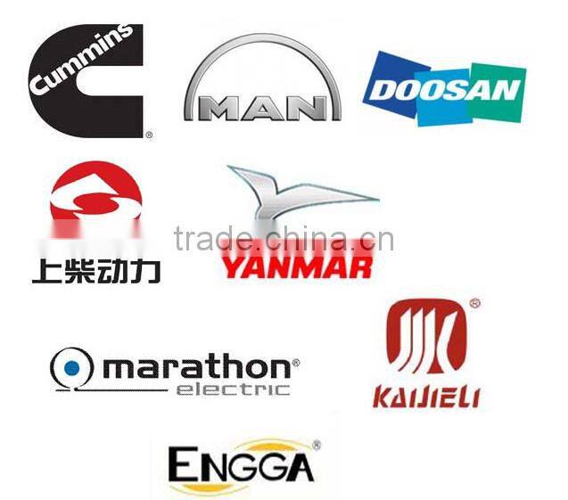 China generator 300KW generadores electricos