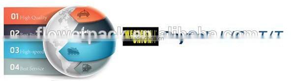 Paper Plastic Core Packing Poly Satin Ribbon