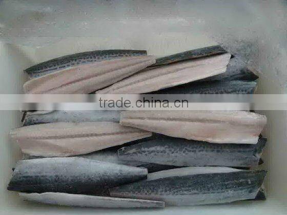 frozen spanish mackerel fillet