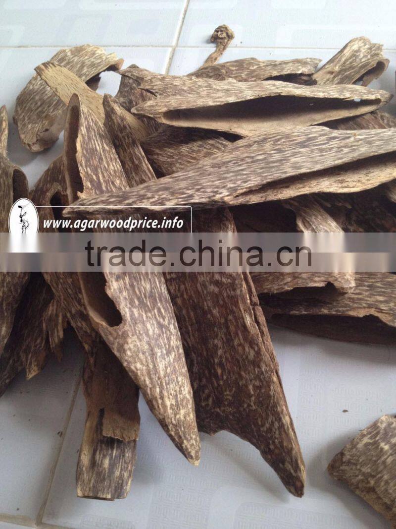 Agarwood chunks supplier