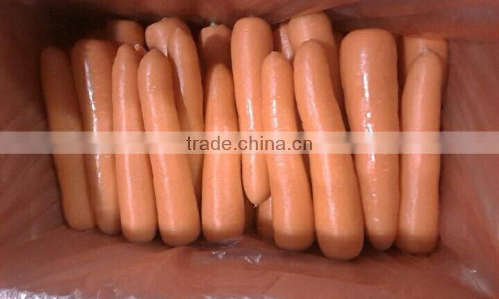 wholesale Chinese fresh carrots