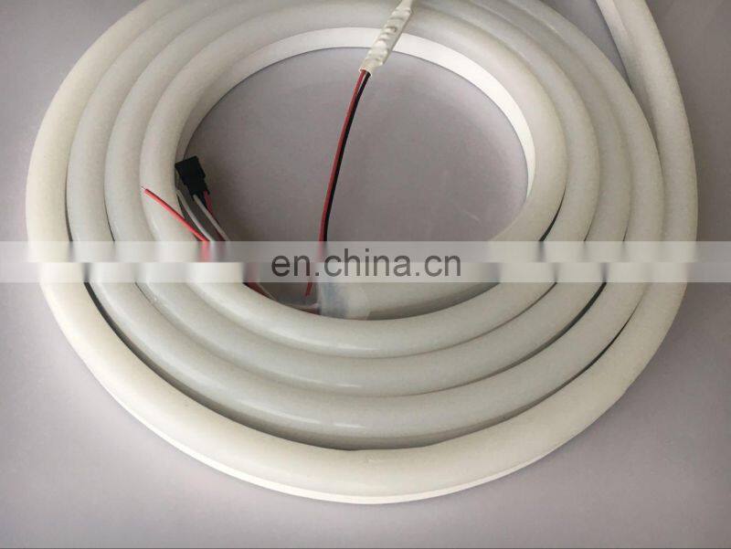 Rebow ws2811 ws2812b Digital IP67 Waterproof 5V 12V 24V Magic color rgb led flex neon DMX