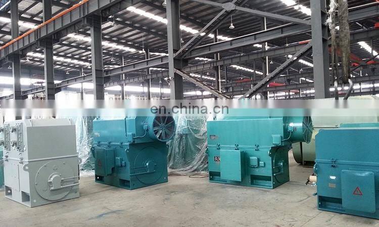 11KV high voltage three phase induction motor
