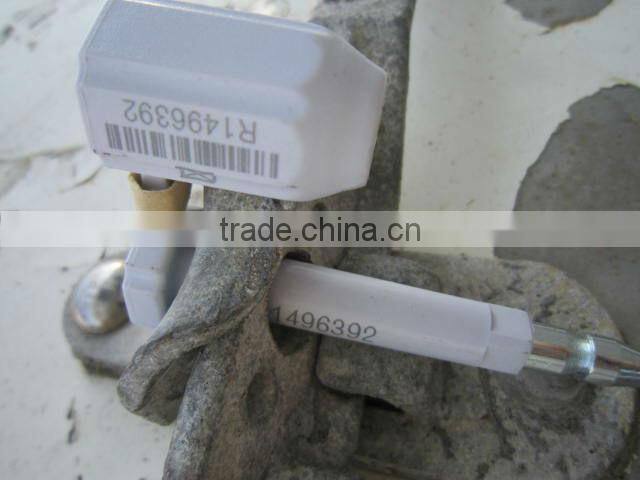 Pacific mackerel HGT