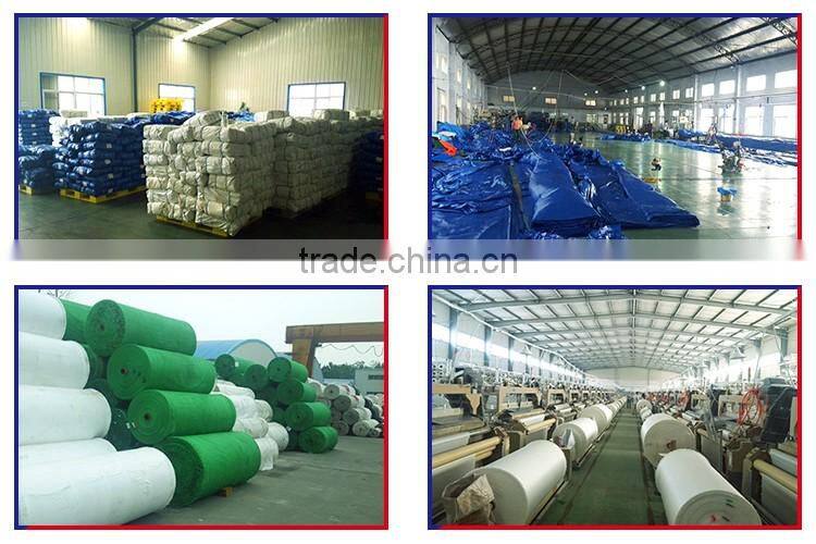 canvas fabric pe tarpaulin sheet