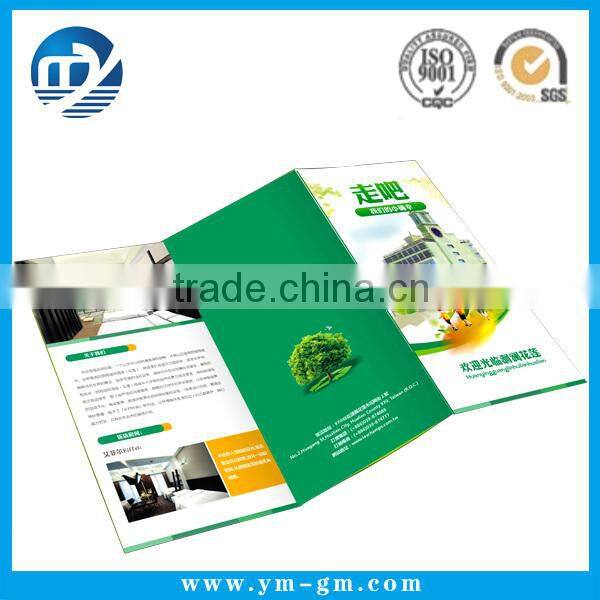 Custom Printed Matte / Glossy Advertising leaflet / flyer / brochure printing service