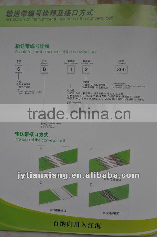 Sell Special Conveyor Belt