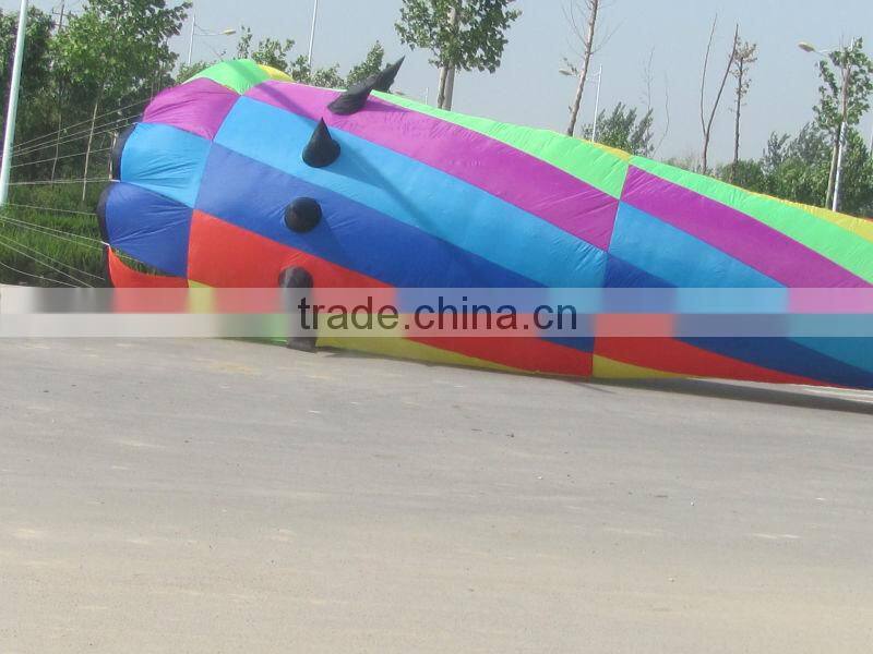 large windsock kite