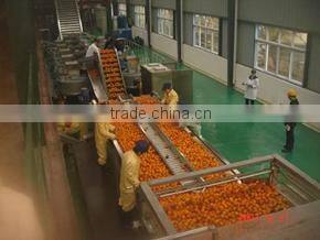 PET bottle hot filling fruit juice line