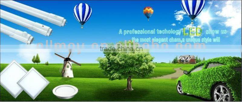 2013 New design 300*300 / 600*600 /1200*600 LED light panel ceiling lamp