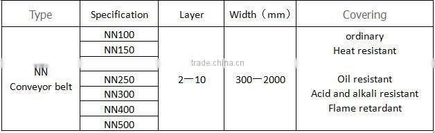 flame retardant nylon conveyor belt importers in China