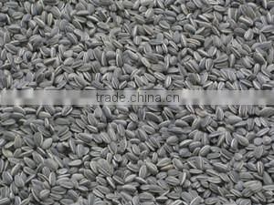 Soybean mini oil mill/mini oi press