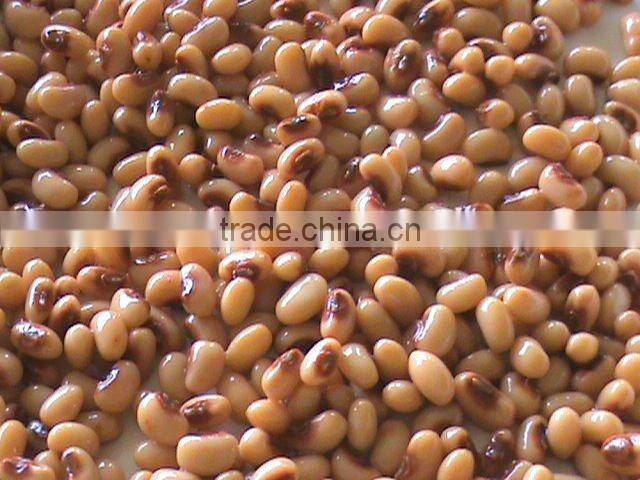 canned food black eye beans in wegetables